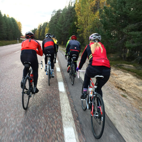 Sex elever cyklar i grupp på en landsväg.